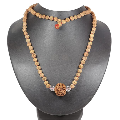 ShivaRatna 6 Mukhi Rudraksha