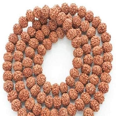Nav Durga Mala 9 Mukhi Rudraksha Mala (108+1 Beads) Lab Certified (for Wearing : Medium Size)